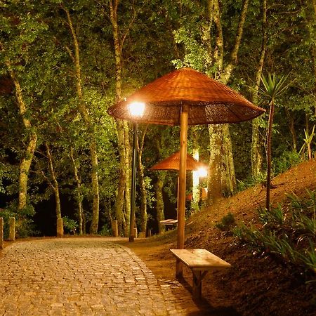 Willa Quinta Da Costa Vila da Lixa Zewnętrze zdjęcie